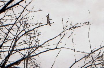 062f2505d99da9de279c898b5d8328ea